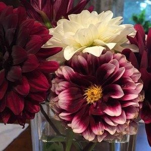 Meet your Posher, Joanne